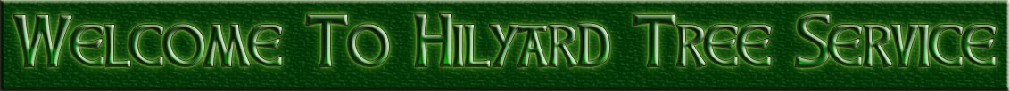 Welcome to Hilyard Tree Service